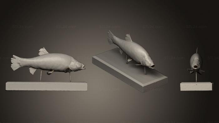 Статуэтки животных (Линь, STKJ_0573) 3D модель для ЧПУ станка